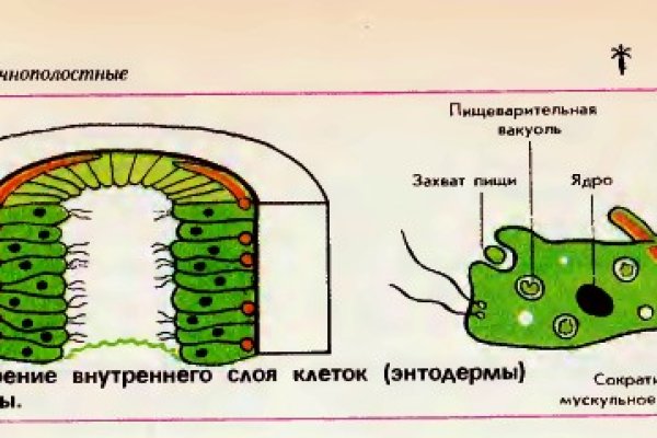 Кракен са