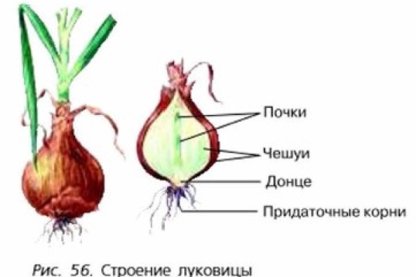 Кракен krakens13 at